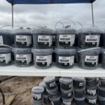 Buckets of biochar produced from dead citrus trees