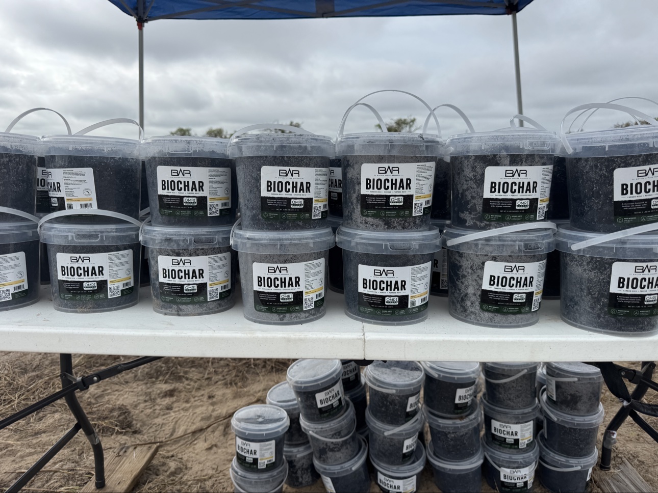 Buckets of biochar produced from dead citrus trees