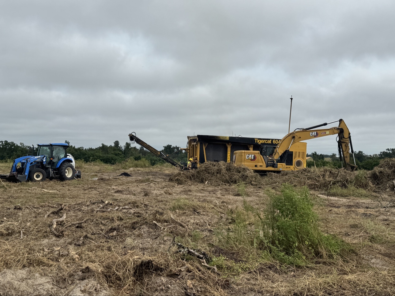 A Tigercat 6040 machine turning dead citrus trees into biochar in Hardee County